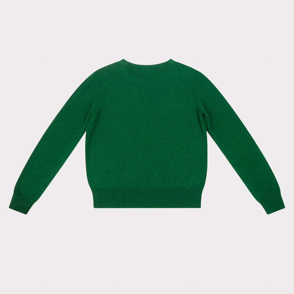 Back of green sweater on a light gray background