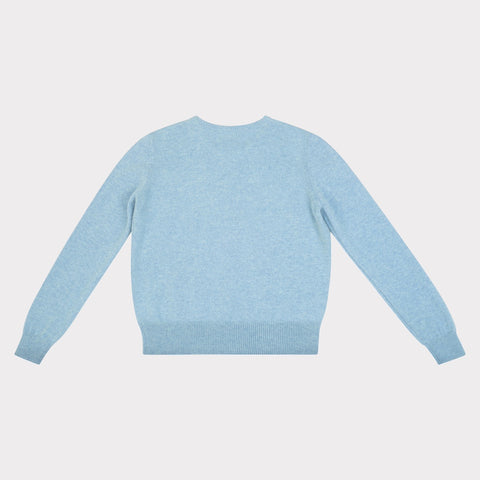 HADES light blue sweater with a navy 'G' back