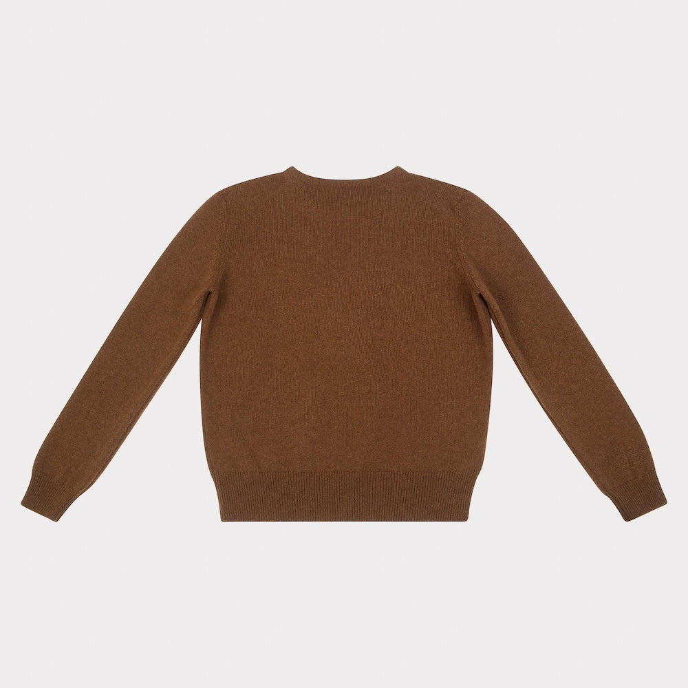 HADES brown jumper with a red letter 'H'  back