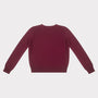 Image of the back of the HADES burgundy jumper with a blue letter 'N' detail