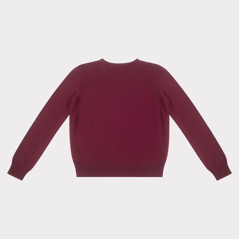 Image of the back of the HADES burgundy jumper with a blue letter 'N' detail