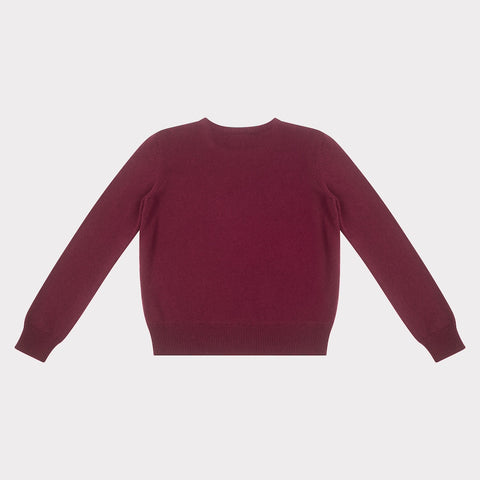 Image of the back of the HADES burgundy jumper with a blue letter 'N' detail