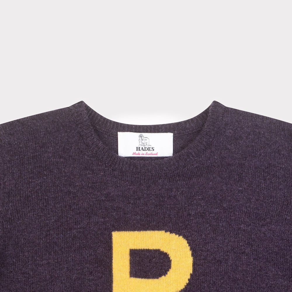 HADES Dark purple jumper with a yellow letter 'P' necklabel