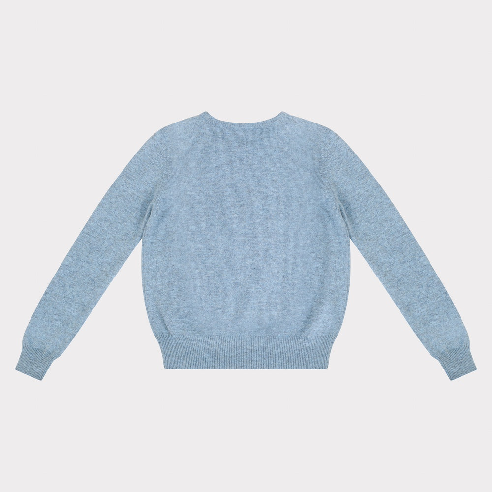 HADES light blue jumper with a navy letter 'R' back
