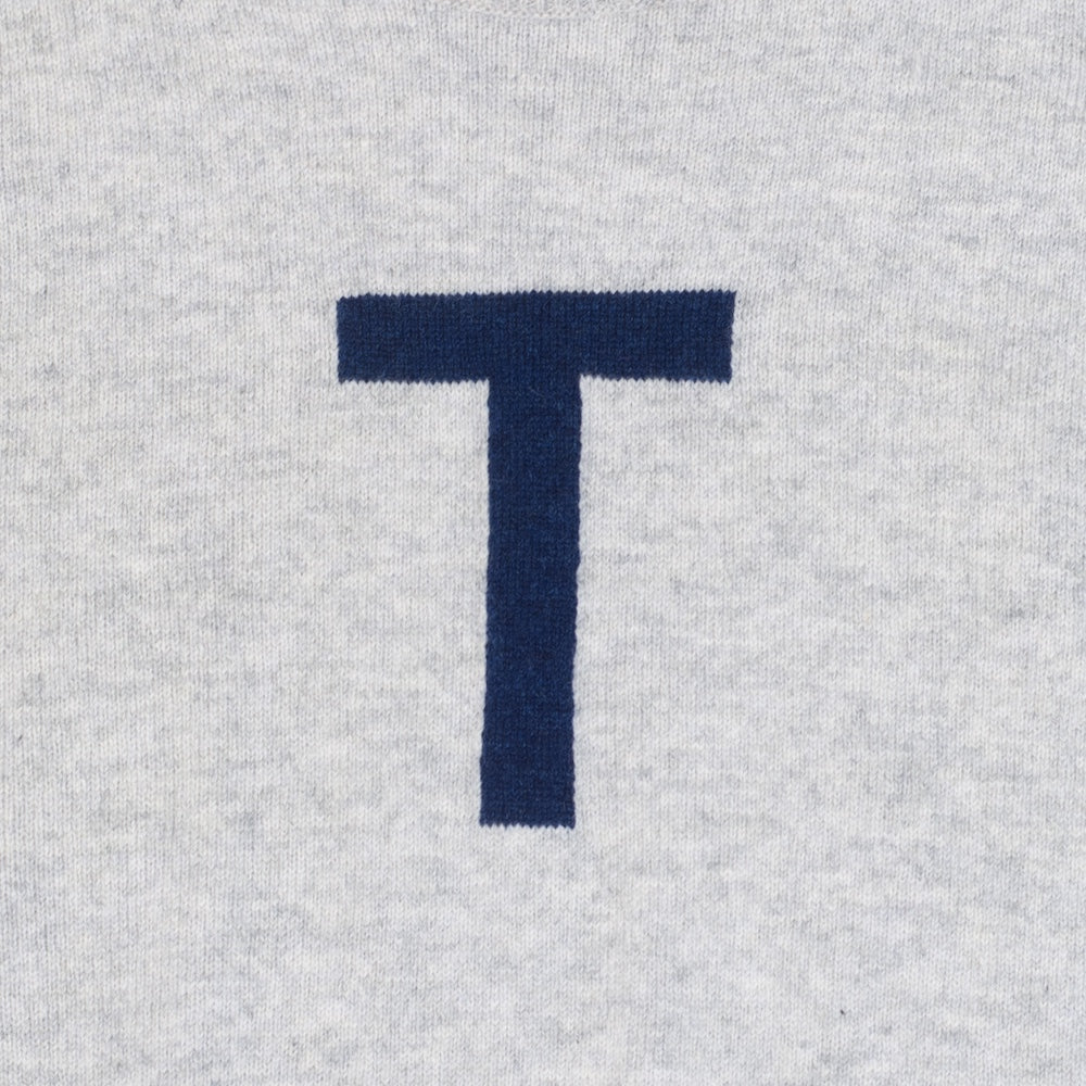 HADES grey sweater with a navy blue letter 'T'  slogan