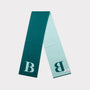 Flat image of the  'B' scarf folded.