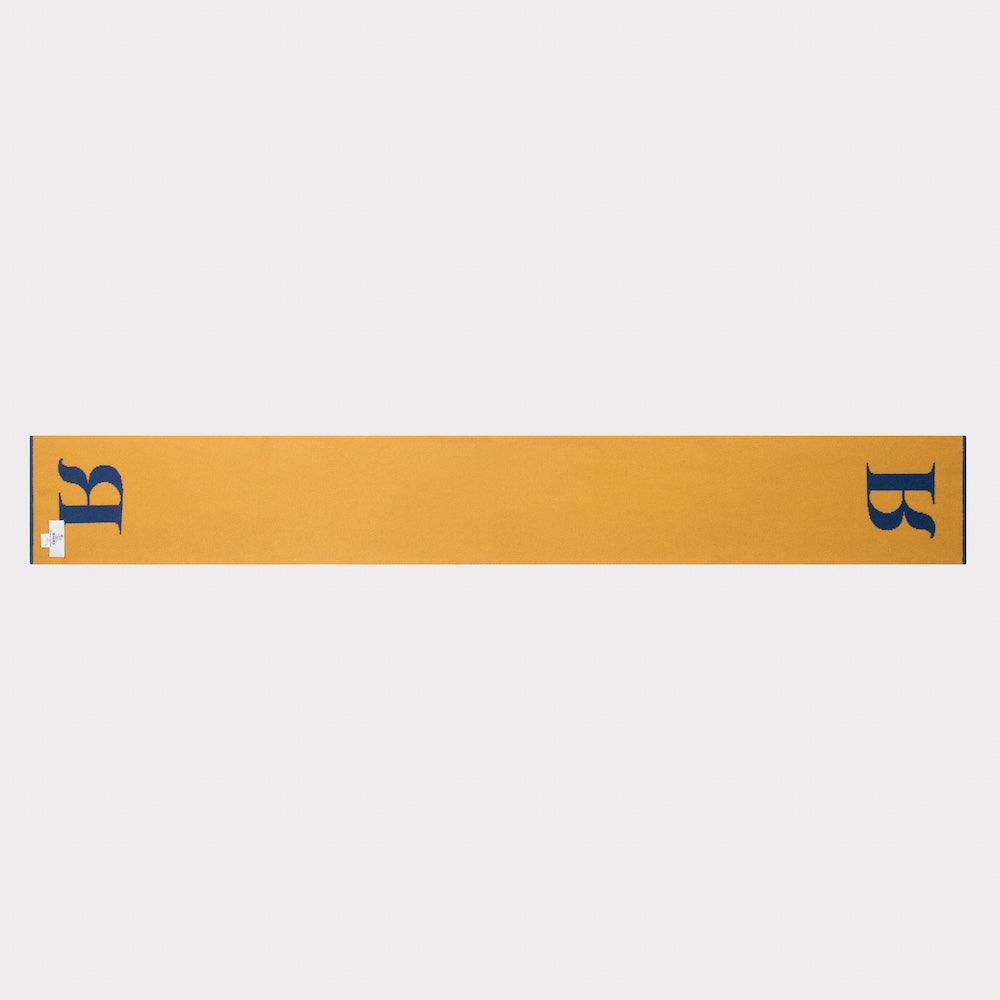 HADES Persian blue and orange R scarf back