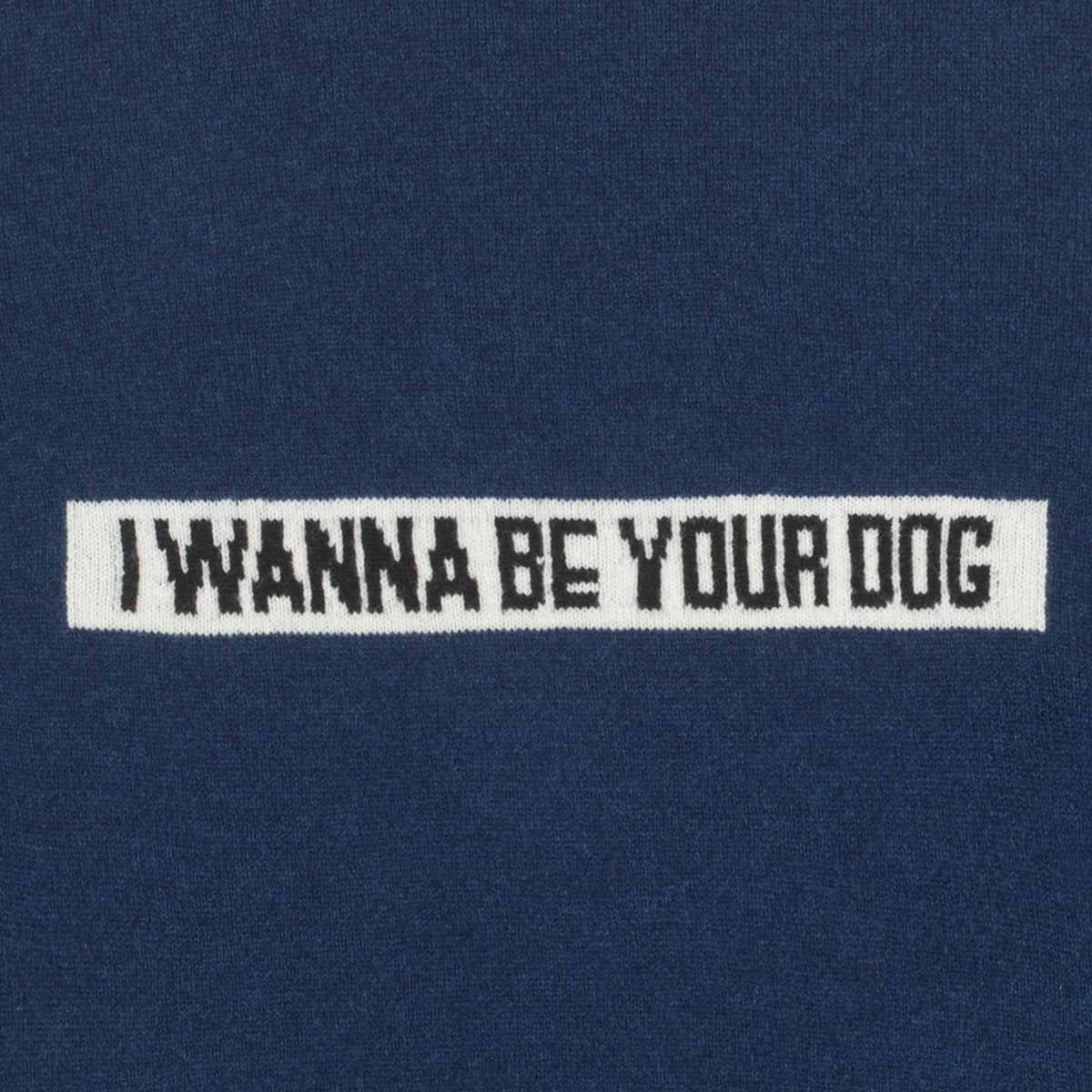 HADES I Wanna Be Your Dog Iggy Pop Jumper Detail  Photo