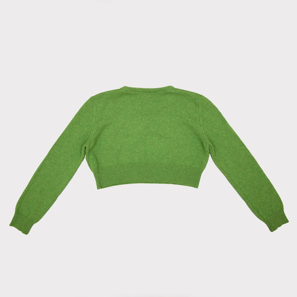 HADES "I'm Sick Of you!" Iggy Pop cropped jumper product back photo