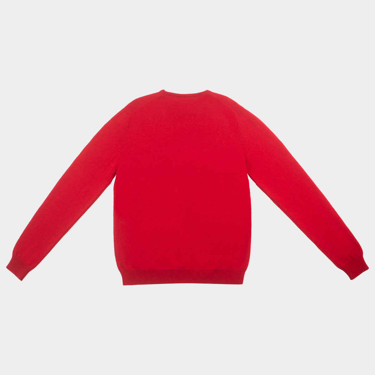 HADES x Iggy Pop Men's I wanna be your dog jumper back
