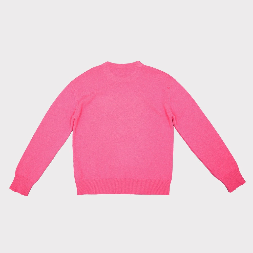 HADES The Iggy Pop oversized jumper back product photo