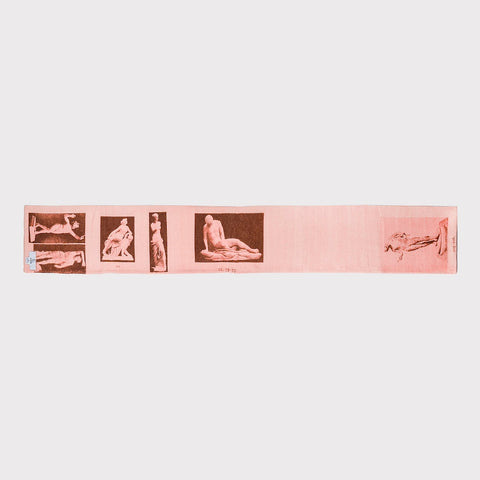 HADES Narcissus Scarf pink & brown