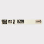 HADES Narcissus scarf in Ivory and Black