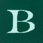 HADES Wool Letter B Bag Close Up