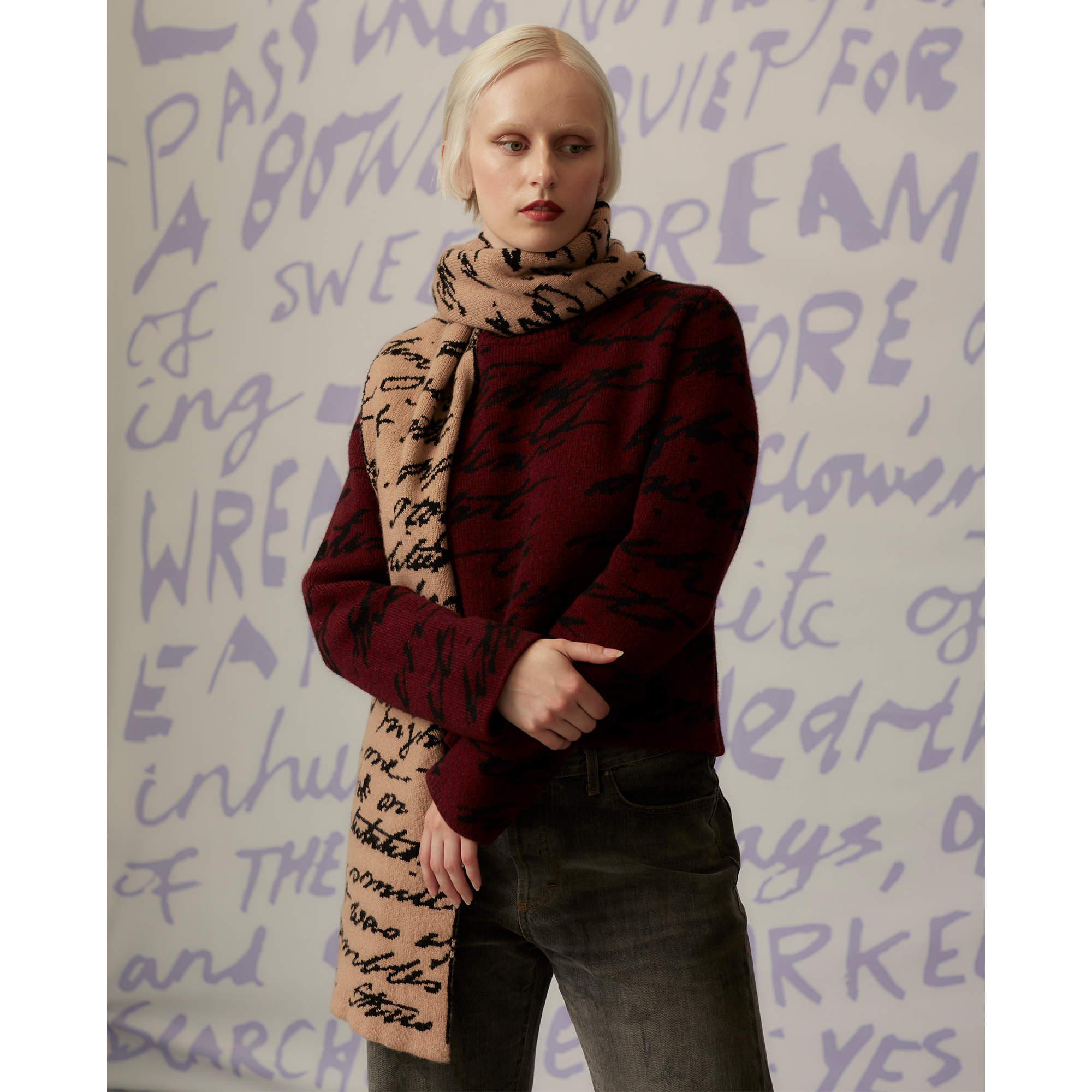 HADES burgundy and black Mary Shelley script jumper model
